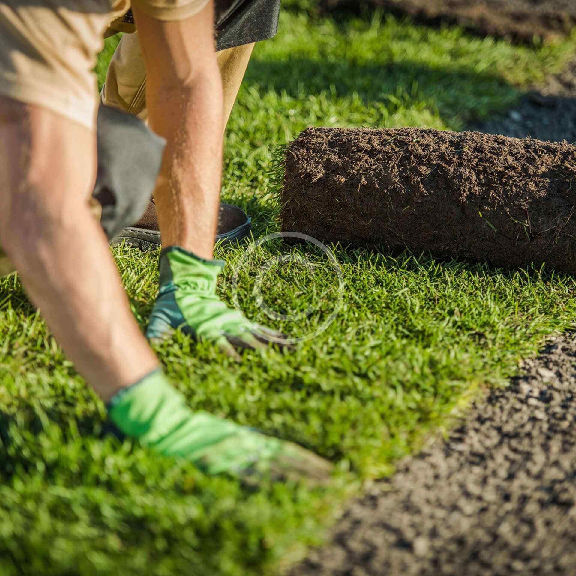 Lawn Maintenance 1 Дизайн интерьера и ремонт в ПМР | Студия дизайна - PROJECTOR DESIGN Lawn Maintenance